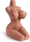 Torso Sexuel Bronzé