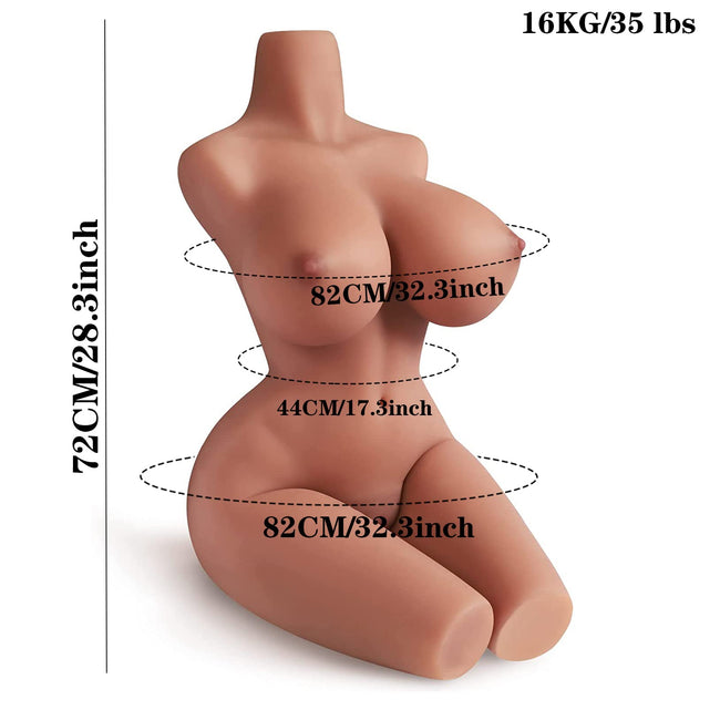 Torso Sexuel Bronzé