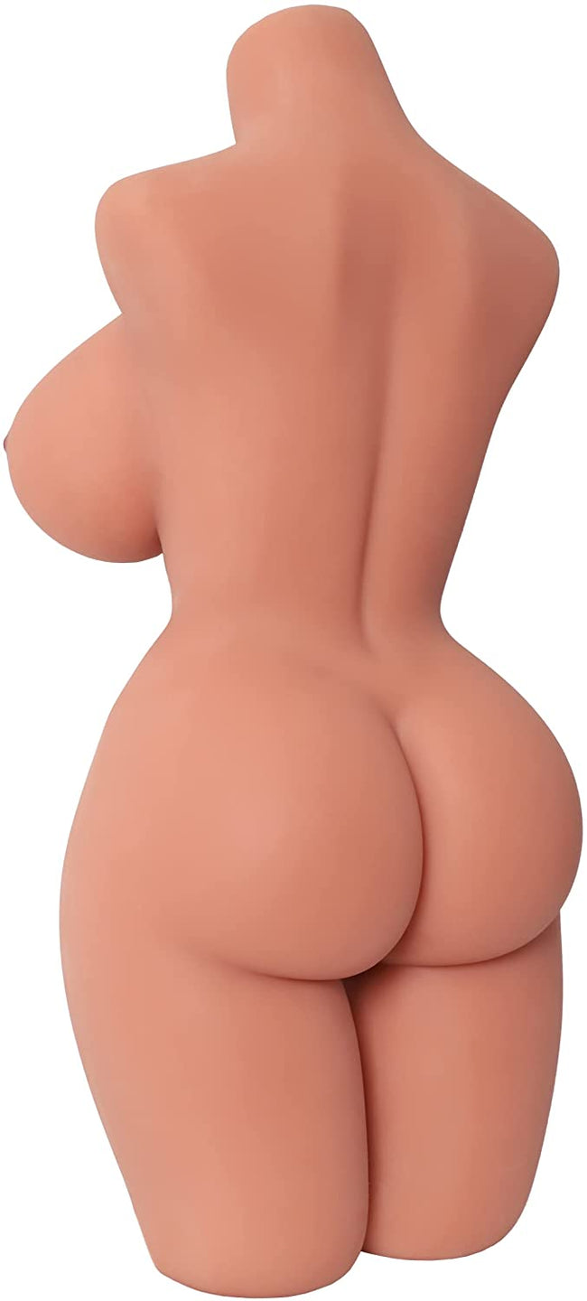 Torso Sexuel Bronzé