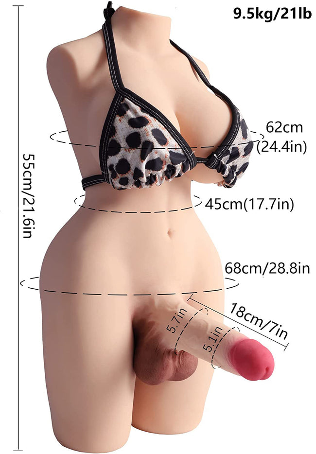 Torso Sexuel Trans complet