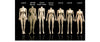 Robot sexuel  Sexdoll Gros seins ROBOTIQUE FUTUR  