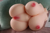 Torse Sexuel Féminin BBW avec forte poitrine